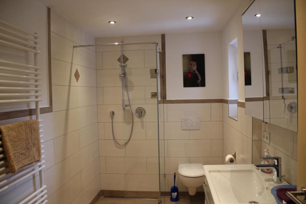 菲施巴豪Bucherhof的带淋浴、卫生间和盥洗盆的浴室