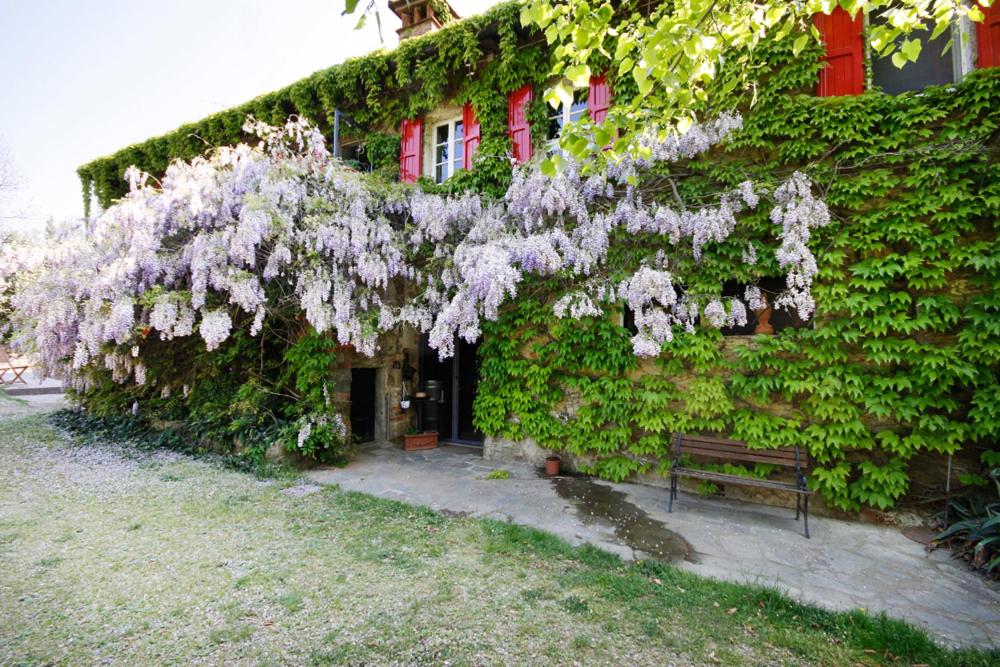 雷杰洛Fattoria Montalbano的一座被植物覆盖的建筑,前面有长凳