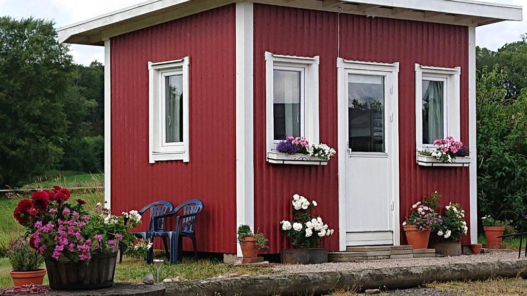 乌拉勒德Borängs Gård的红白色房子,两把椅子和鲜花