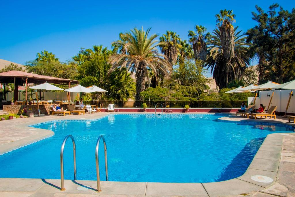 伊察DM Hoteles Mossone - Ica的一座棕榈树环绕的大型游泳池
