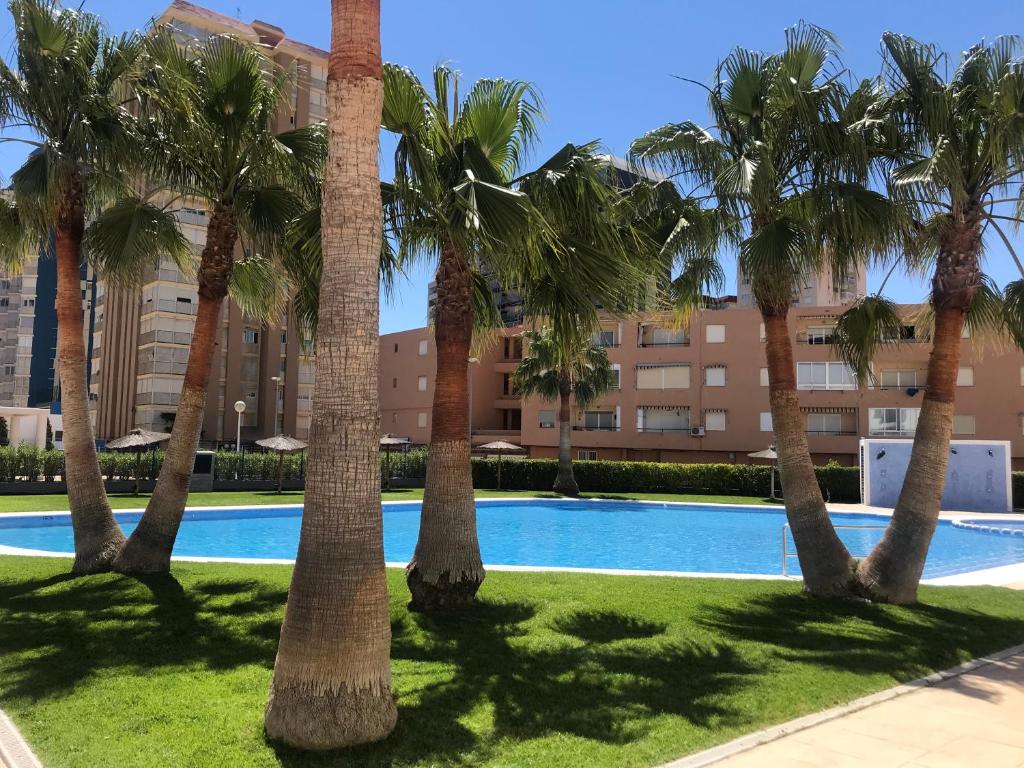 普拉亚博布拉-德法纳Playa Valencia Residencial Sol y Mar Terraza con Vistas y Parking的楼前一排棕榈树