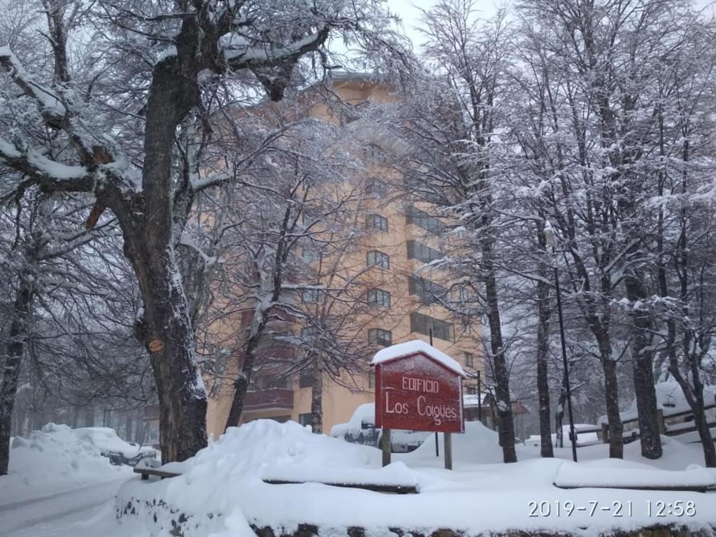 奇廉内瓦达斯Bosque Nevado的建筑物前雪中的标志