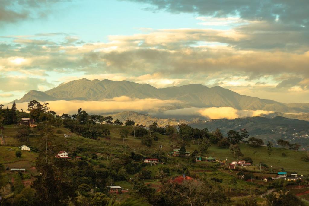 Borrero AyerbeSan Julio Campestre的山丘上的小镇,以山丘为背景