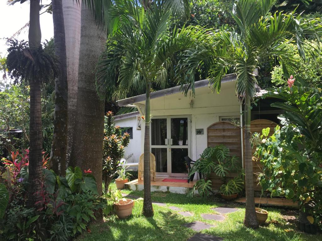 Bras-PanonLE MEDINILLA的花园内种有棕榈树的房子