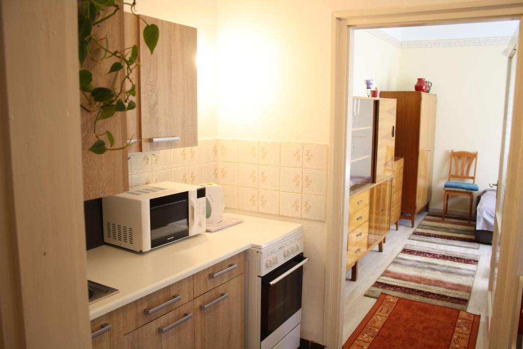 布达佩斯Casa Mamma的厨房配有微波炉和炉灶。 顶部烤箱