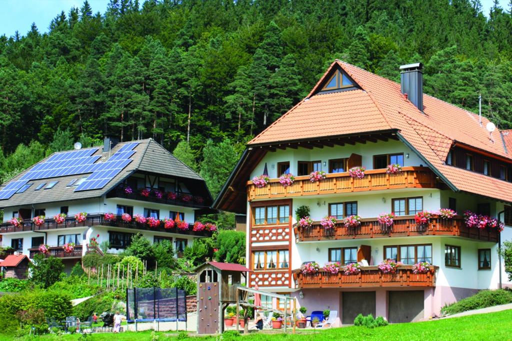 埃尔察赫Schlosshof - der Urlaubsbauernhof的两栋房子的顶部设有太阳能电池板