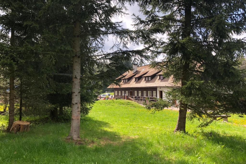 HartmaniceChata Rovina的树木林立的田野中的房子
