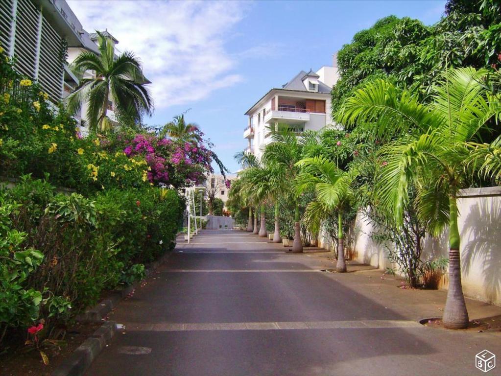 圣丹尼斯L'escale des Palmiers的一条棕榈树和建筑林立的街道