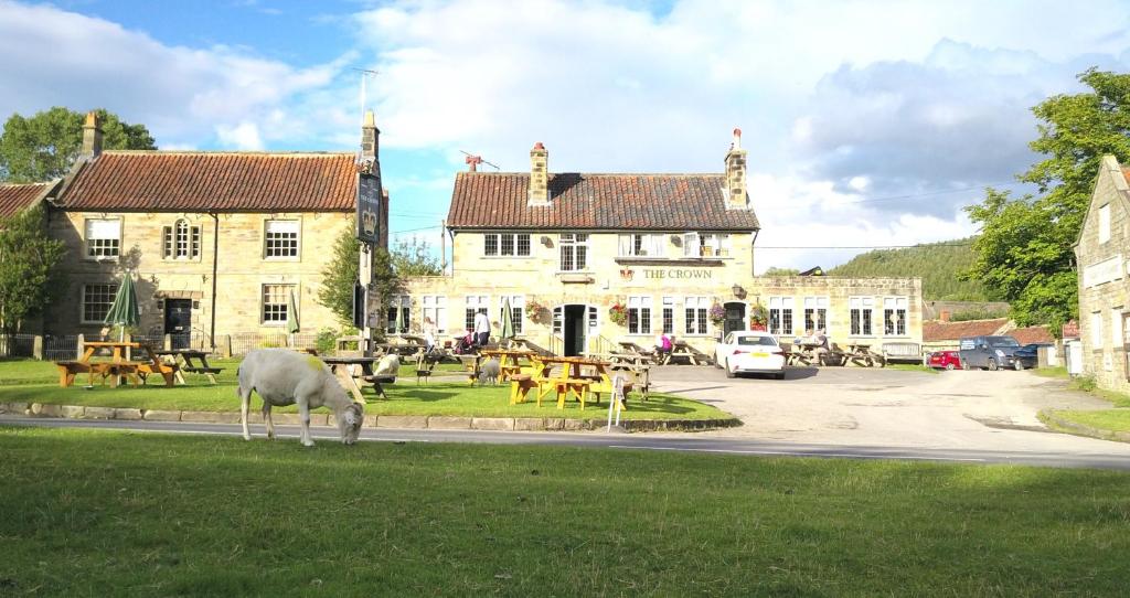 Hutton le HoleThe Crown, Hutton le Hole的牧羊在建筑物前面的草上放牧