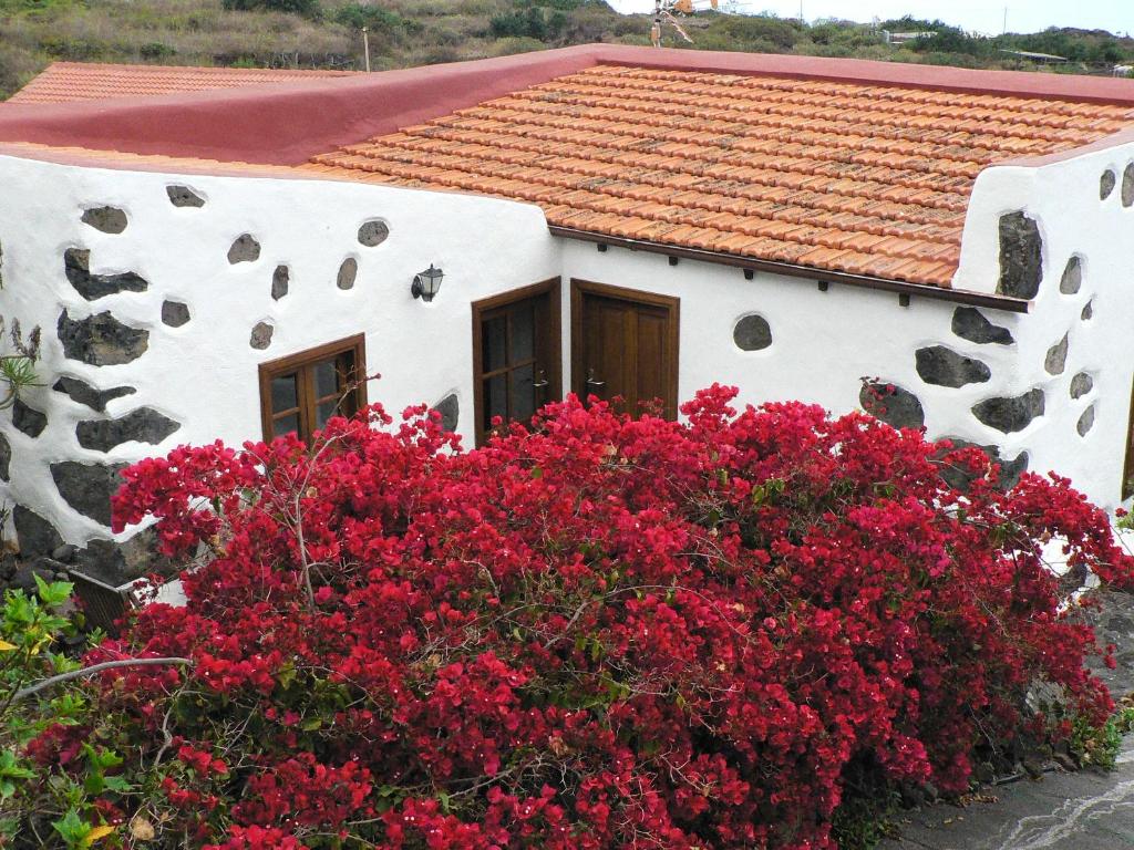 弗龙特拉Casa Rural Los Llanillos的前面有红花的白色房子