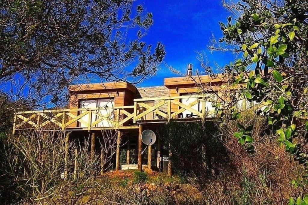 塞拉纳镇Villa Serrana Relax & Confort的树上山顶的房子