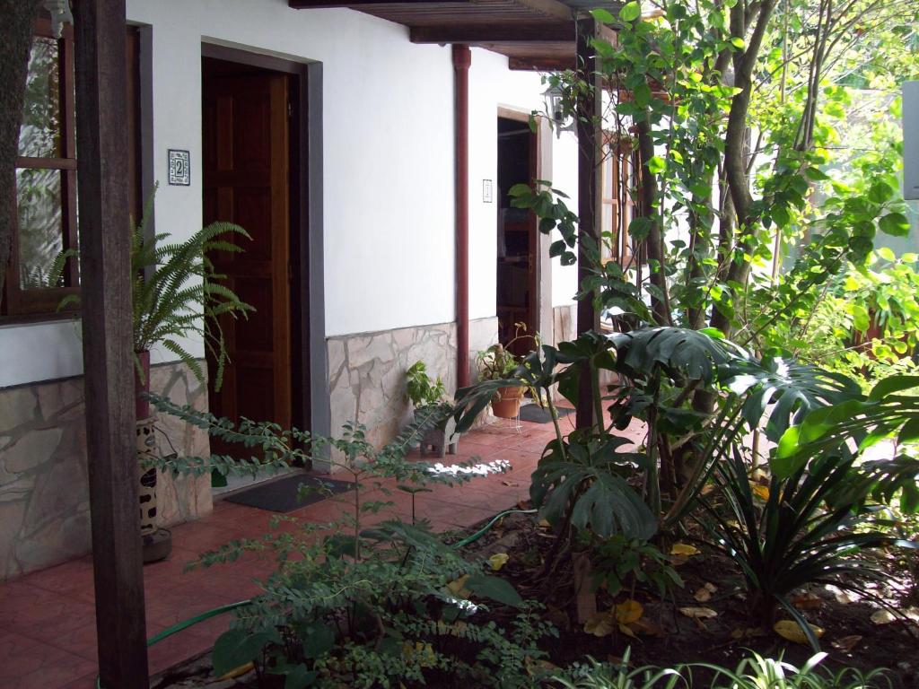 科洛尼亚-德尔萨克拉门托特里萨旅馆的一堆植物的房子的门廊