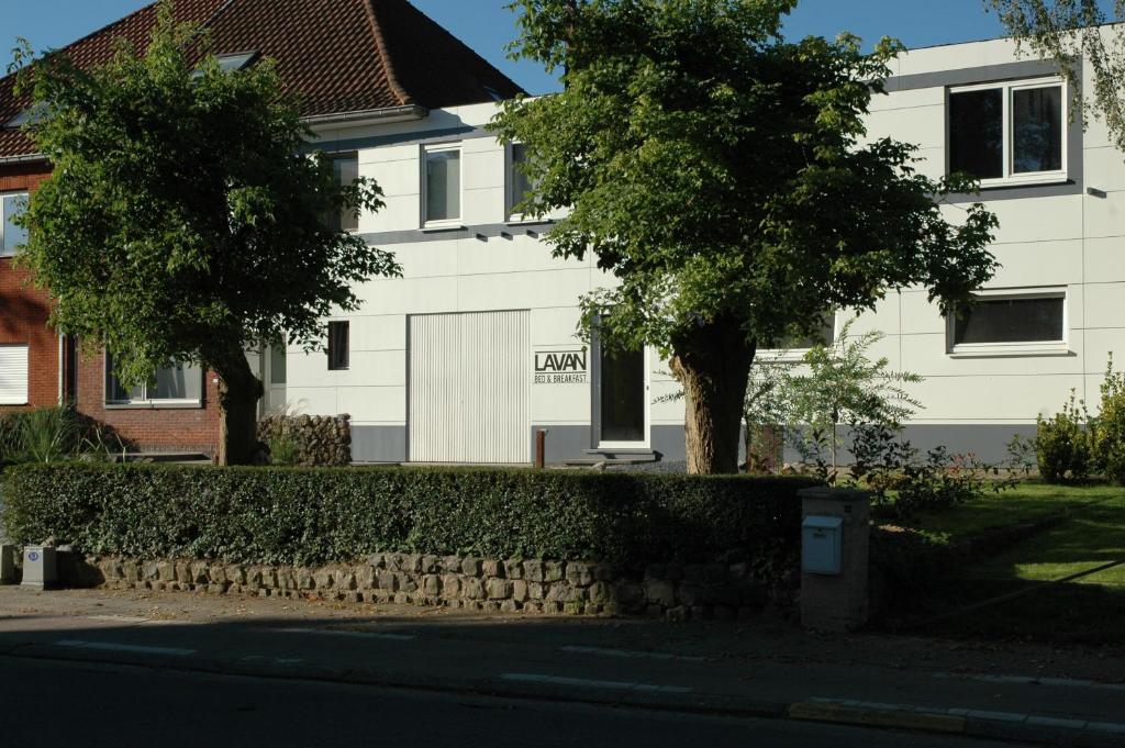 鲁汶Lavan的建筑物前有树 ⁇ 的房子