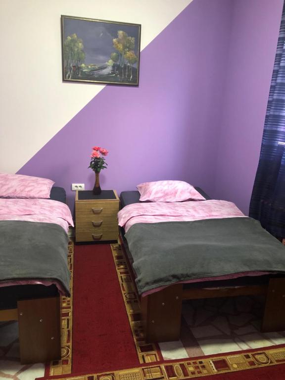 克鲁舍瓦茨Swiss Hostel的紫色墙壁客房的两张床