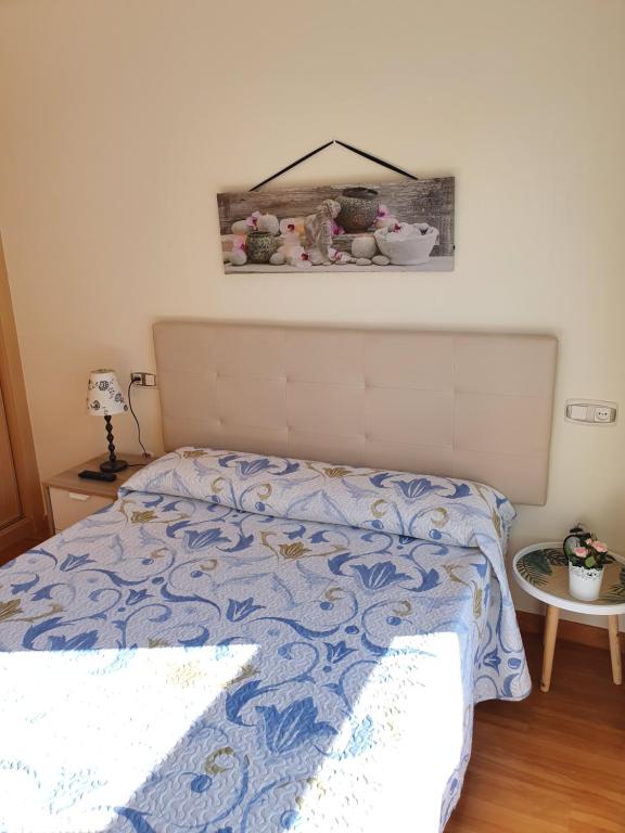 奥维多Acogedor Apartamento en Oviedo Frente al HUCA的卧室内的一张带蓝色和白色棉被的床