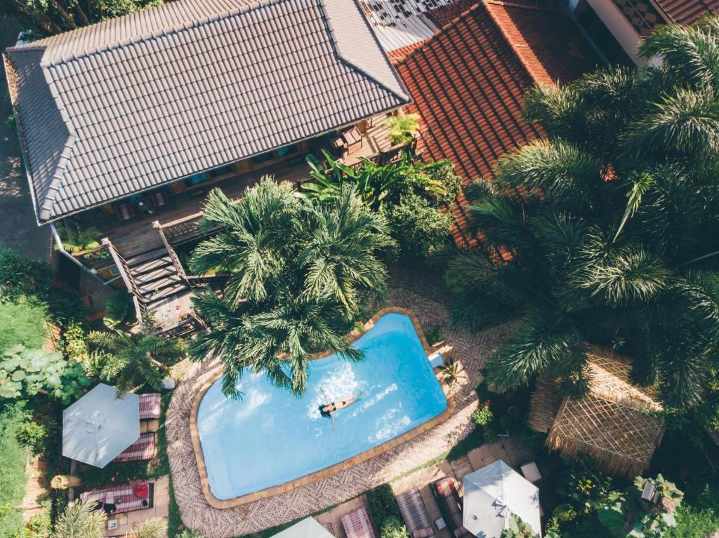 清迈Liam's Guesthouse Adults Only的享有棕榈树游泳池的顶部景致