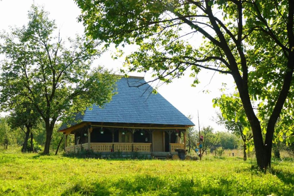 BrebCăsuța din Gradina的田野上蓝色屋顶的房子