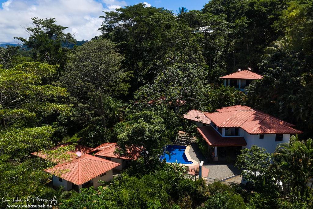 多米尼克Casa del Toucan的享有带游泳池和树木的房屋的空中景致