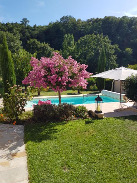 SolignacSous les Remparts的游泳池旁一棵带粉红色花的树