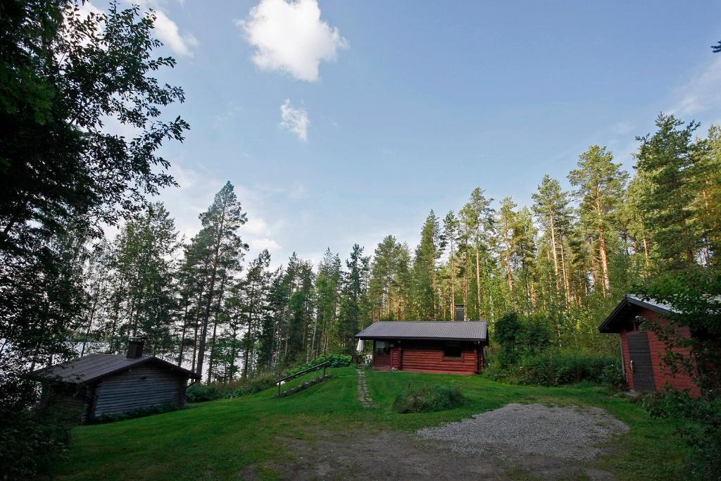 Kosula哈提图维特山林小屋的森林中间的小小屋