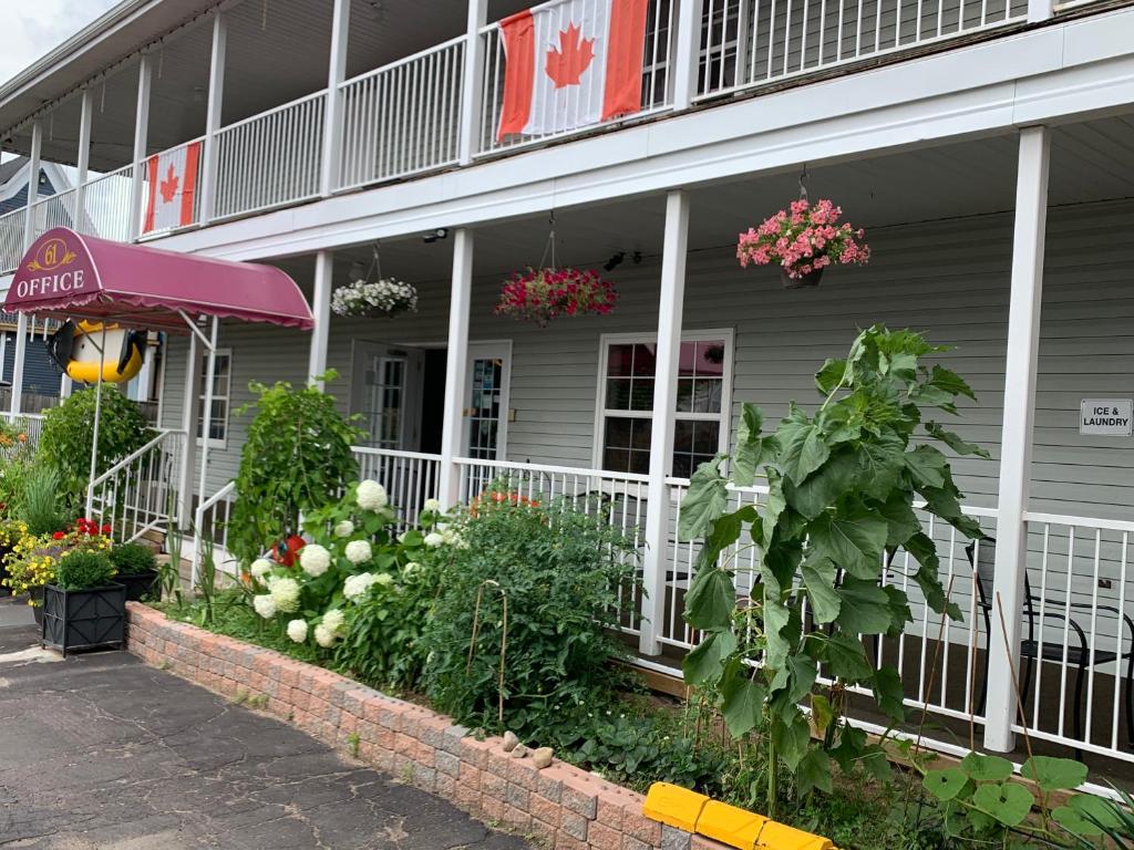 蒙克顿中城汽车旅馆及套房的一座有鲜花和植物的建筑