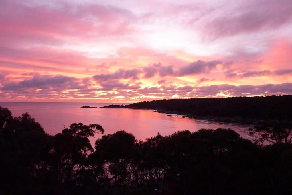 比那隆湾THE LOFT @ Bay of Fires Seascape的树上一排日落