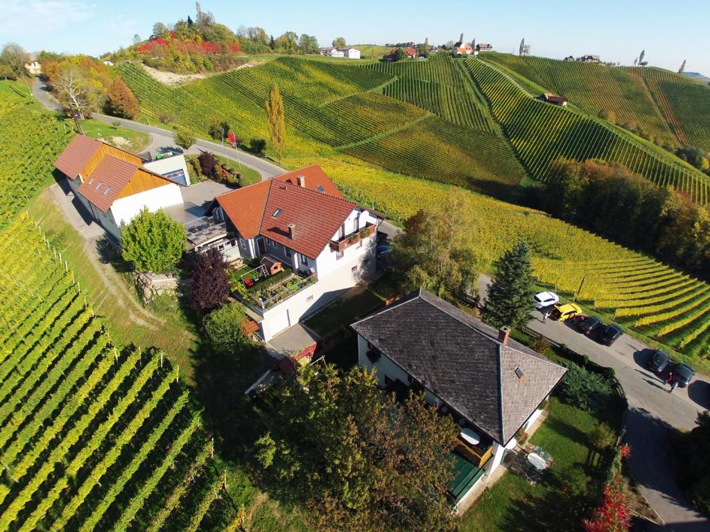 洛伊查赫Familienweingut Oberer Germuth的葡萄园内房屋的空中景观