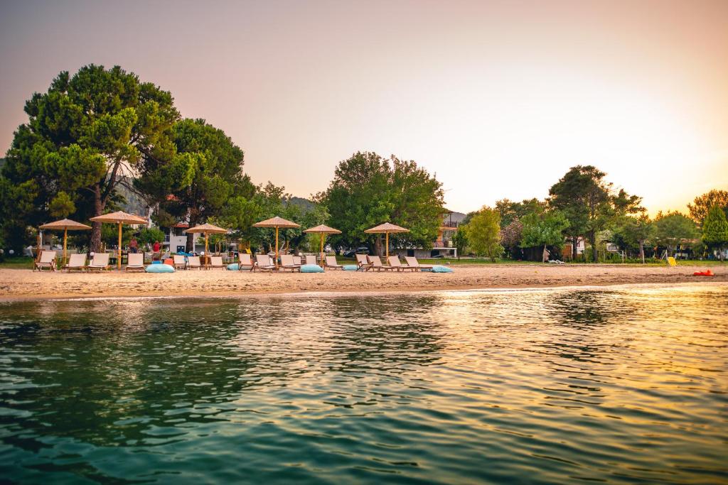 沃尔沃罗Kokkinos的海滩上的一组椅子和遮阳伞