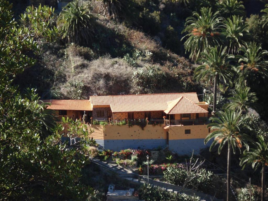 巴列埃尔莫索Casa Rural La Era Vieja en Vallehermoso La Gomera的棕榈树山边的房子