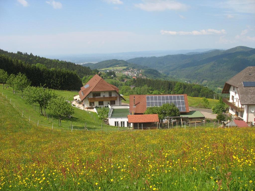 HorbenReeshof的山丘上的一个村庄,花田