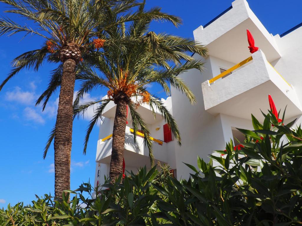 卡拉米洛Apartamentos Mallorca SL的一座棕榈树建筑