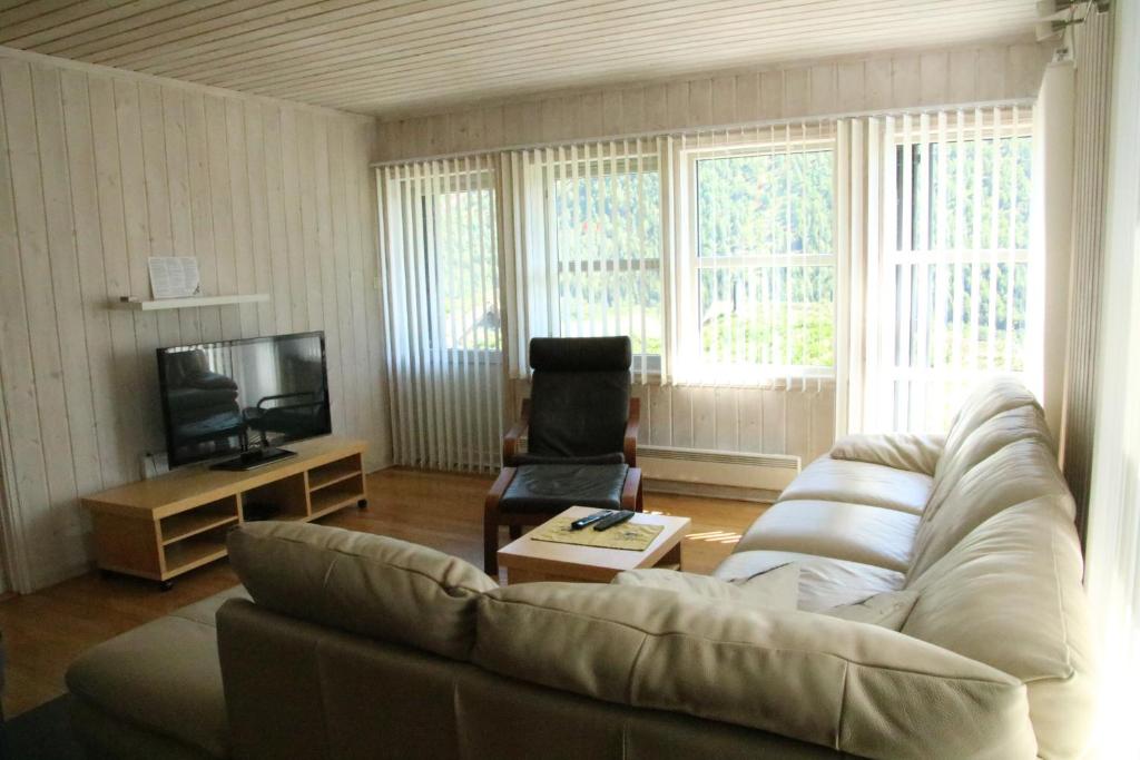 VossestrandMyrkdalen Resort Øvre Bygardslii apartment的带沙发和电视的客厅