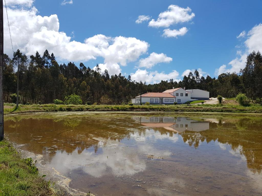 菲盖拉-达福什Quinta do Vale Vendeiro的房屋倒在房子前面的池塘里