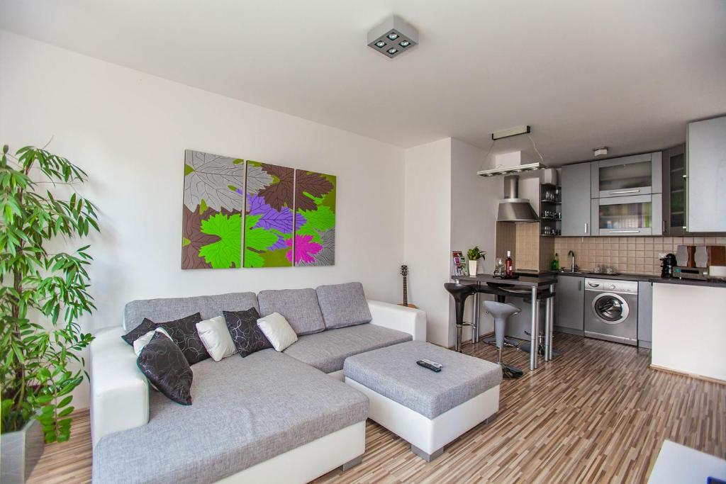 布达佩斯Mentha Apartments Deluxe - MAD的带沙发的客厅和厨房