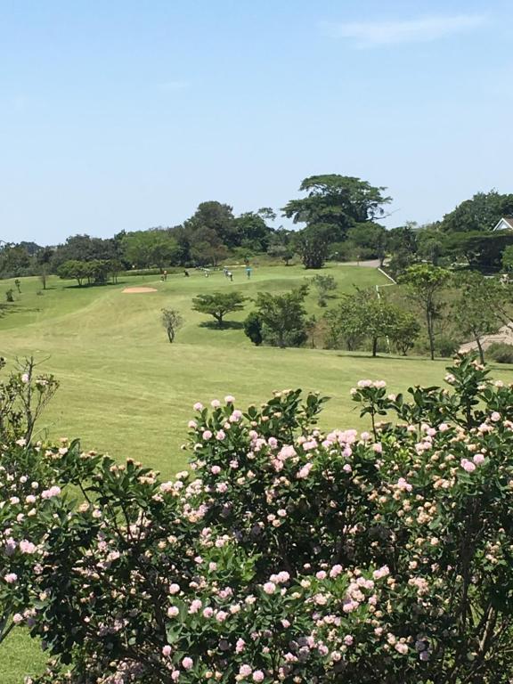 EshoweEshowe Hills Golf Estate的享有高尔夫球场和粉红色花卉的景色