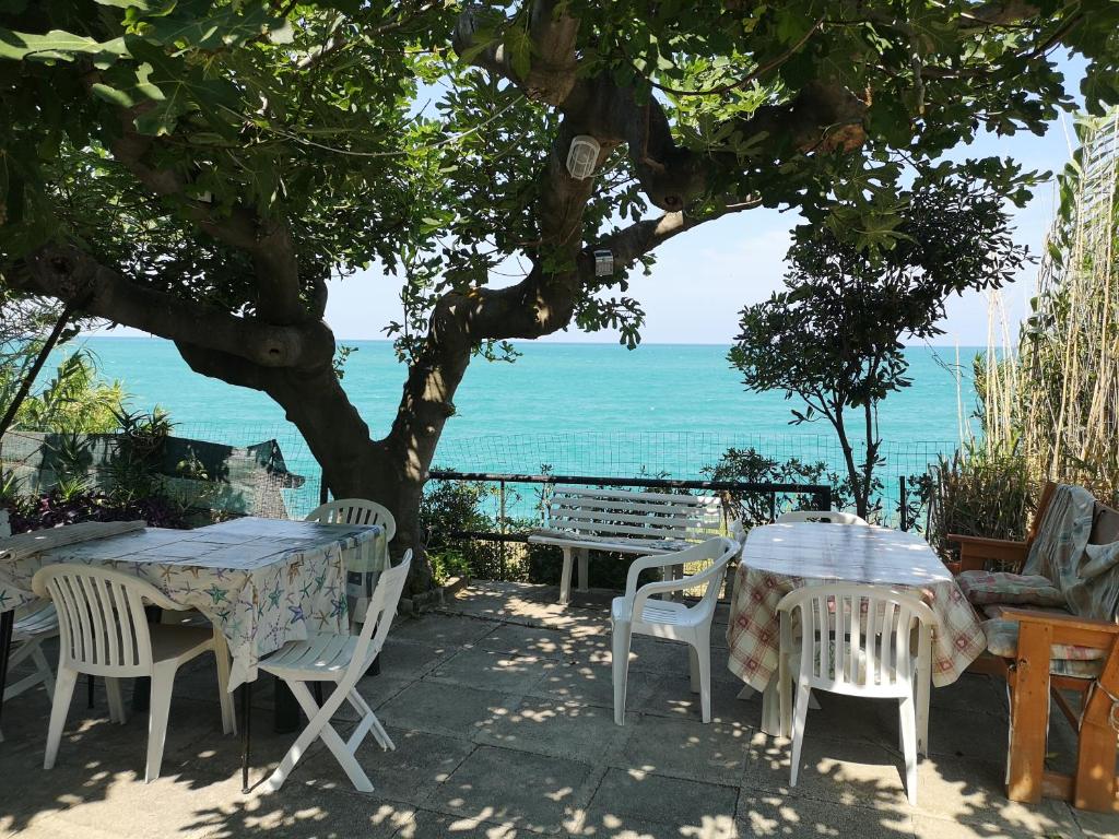 托里诺迪桑格罗vacanze al Mare appartamento in villa的树下与大海的桌子和椅子