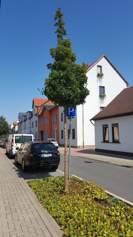 伊尔梅瑙Himmelblau的街道边的小树