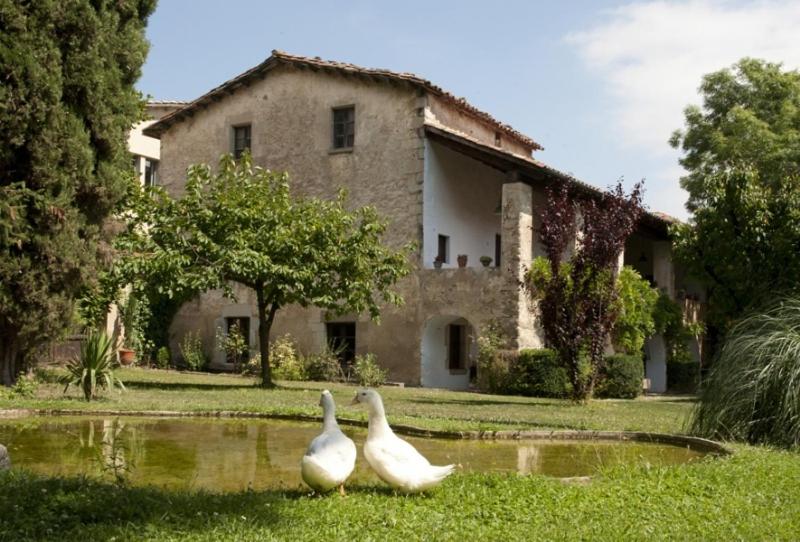 圣费柳-德帕利亚罗尔斯卡萨普拉特乡村民宿的三个白鸭坐在房子前面的池塘里