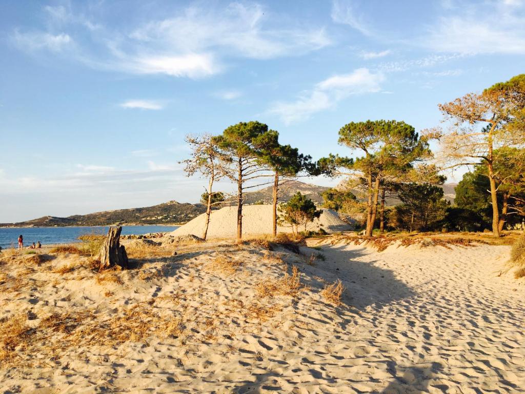 卡尔维Camping Dolce Vita的一片种满树木和水的沙滩
