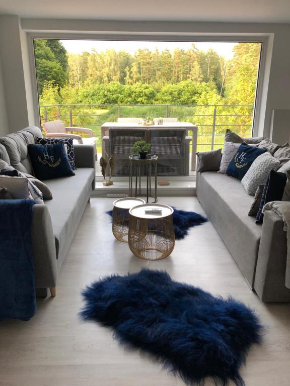 奥斯特罗达Comfort Zone Ostróda Ruś Mała的带沙发和蓝色地毯的客厅