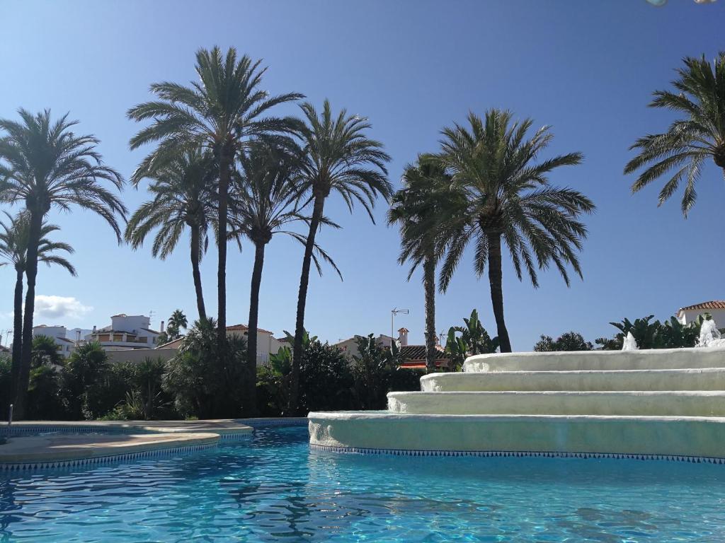 德尼亚Estudio con Piscina, Playa y Wifi的一座棕榈树环绕的游泳池
