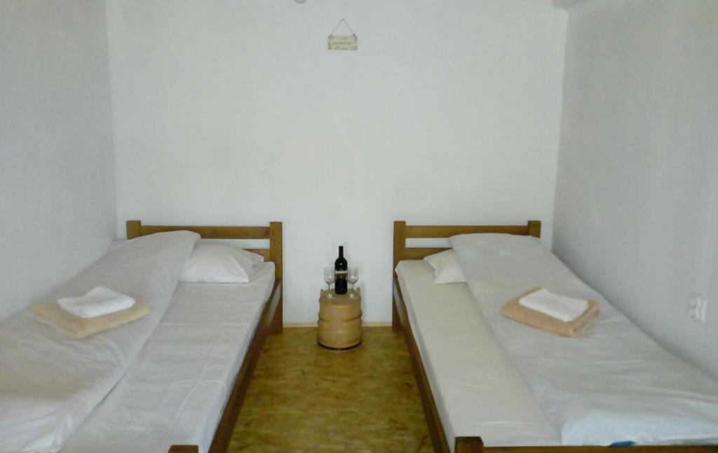 扎布利亚克Village house Popovic的白色墙壁客房的两张床