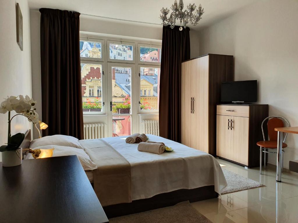 卡罗维发利麦东娜公寓的一间卧室设有一张床和一个大窗户