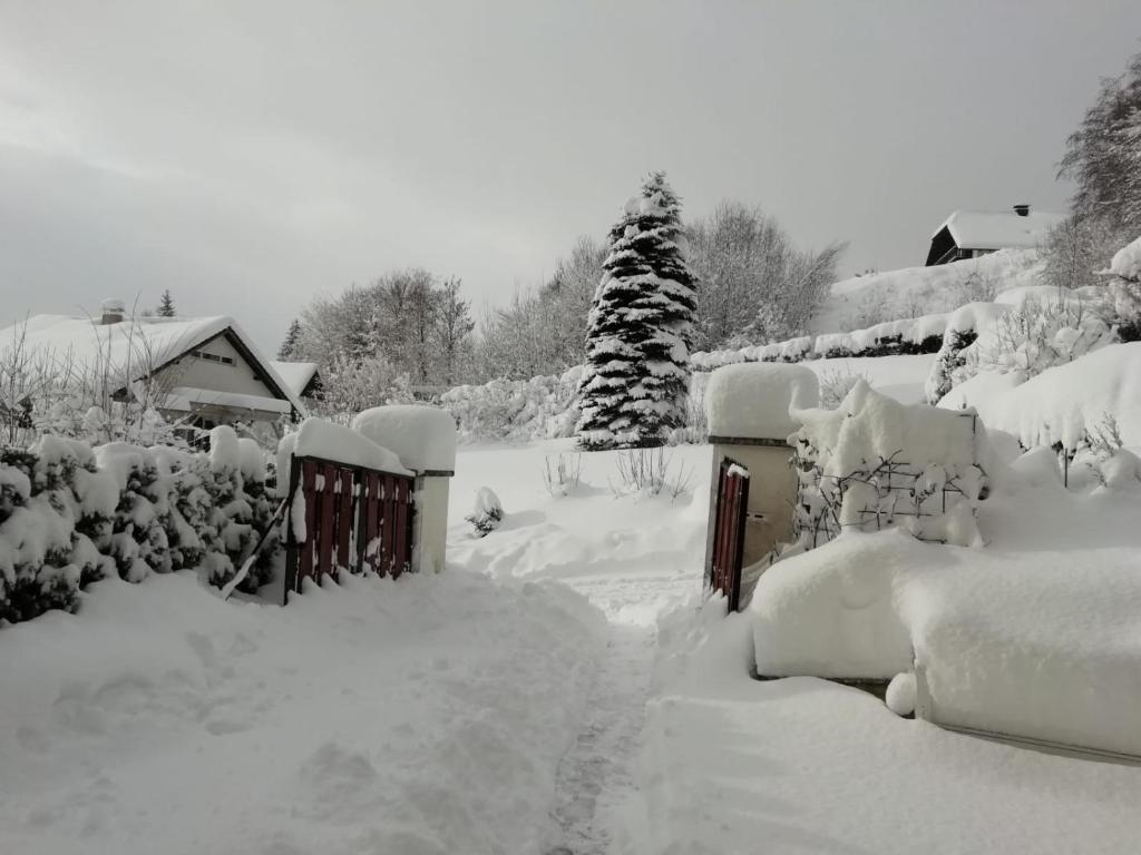 塞默灵Tannenhof的一座大院,被雪覆盖,有门和树木