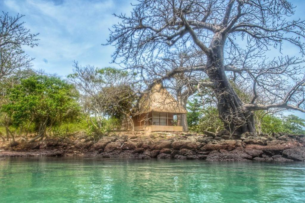 BruceAfrican Ecolodge Angurman的水中小岛上的小小屋
