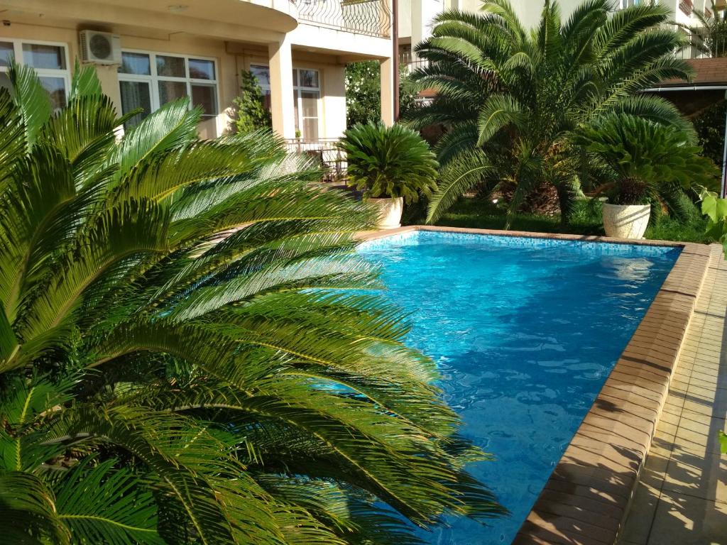 索契Vekar Guest House的一座别墅前方的棕榈树游泳池