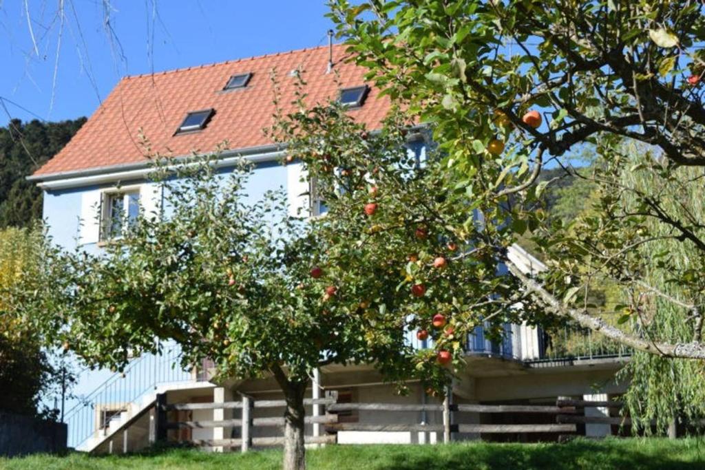 SondernachLes Locations de Stéphanie ,Gite Le Verger的前面有一棵树的白色房子