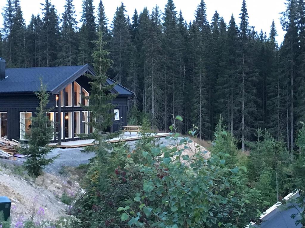 特吕西尔Lillebjørn的森林中的房子