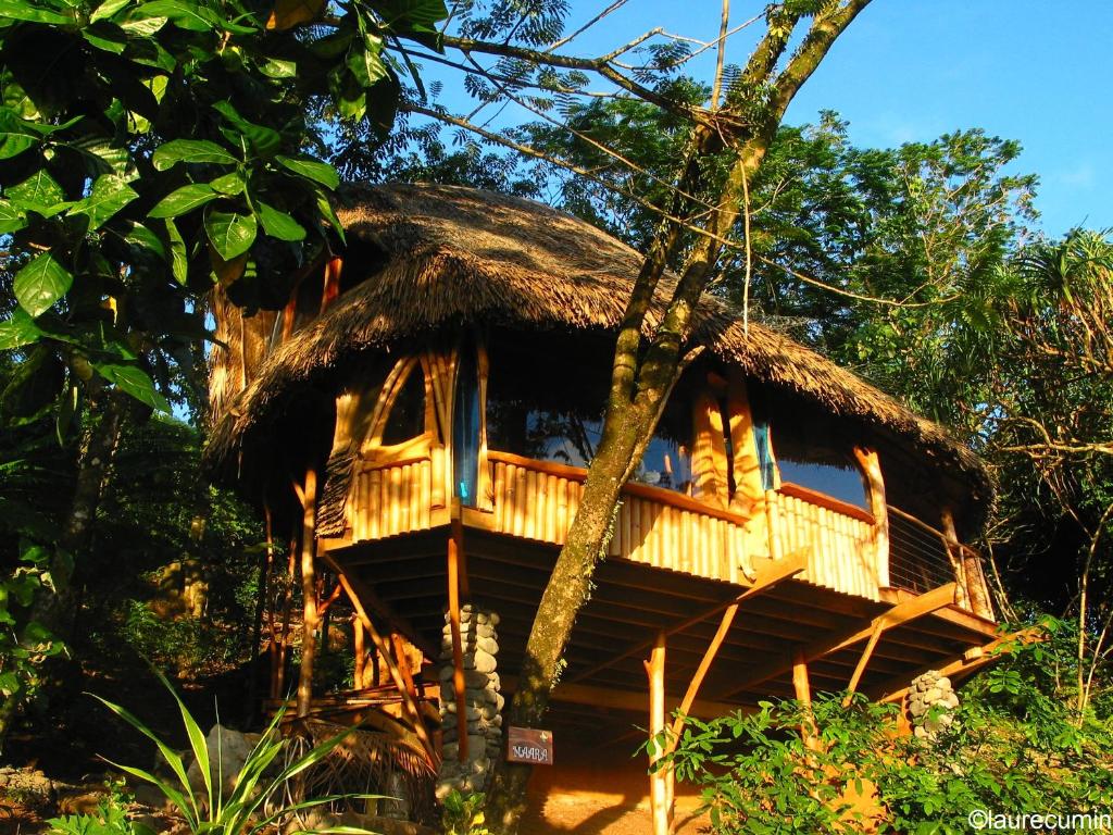 Teahupoo瓦尼拉旅舍的茅草屋顶树屋