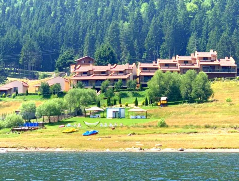 瑟尔尼察VIP Complex的水边小山上的大房子